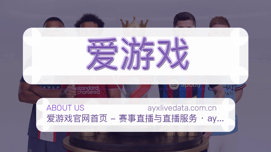 爱游戏体育赛事服务介绍